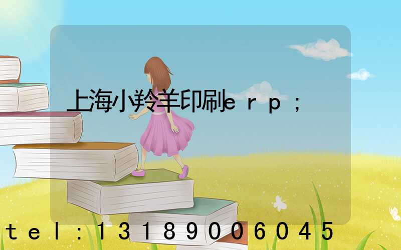 上海小羚羊印刷erp