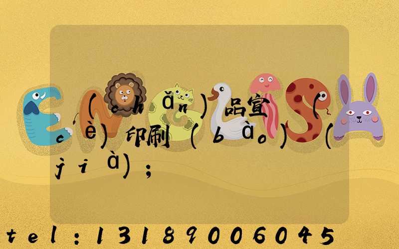 產(chǎn)品宣傳冊(cè)印刷報(bào)價(jià)